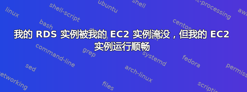 我的 RDS 实例被我的 EC2 实例淹没，但我的 EC2 实例运行顺畅