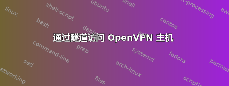 通过隧道访问 OpenVPN 主机