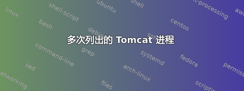 多次列出的 Tomcat 进程