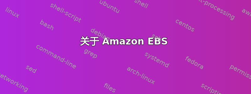 关于 Amazon EBS