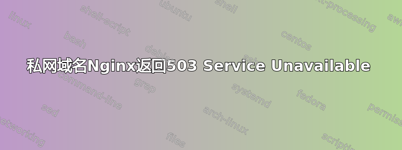 私网域名Nginx返回503 Service Unavailable