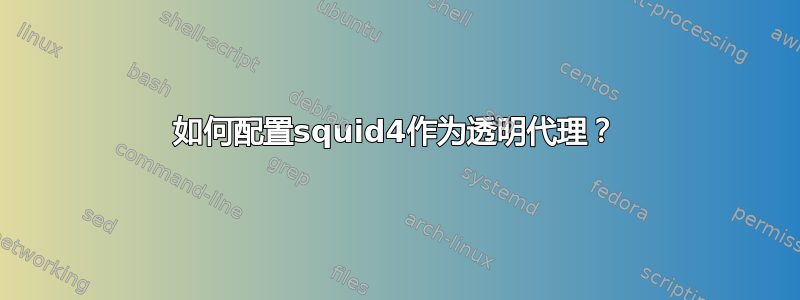 如何配置squid4作为透明代理？