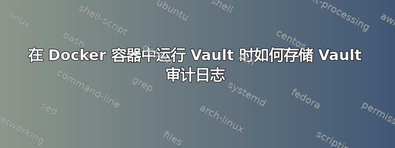 在 Docker 容器中运行 Vault 时如何存储 Vault 审计日志