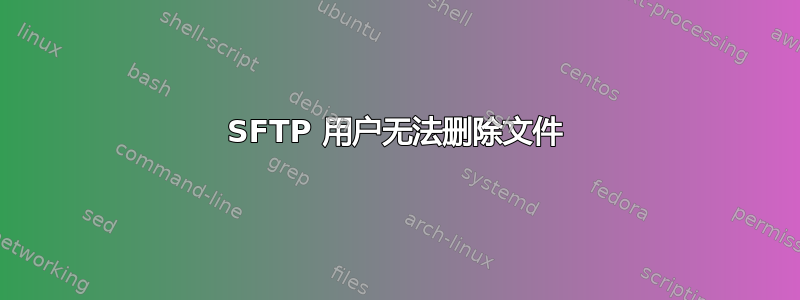 SFTP 用户无法删除文件