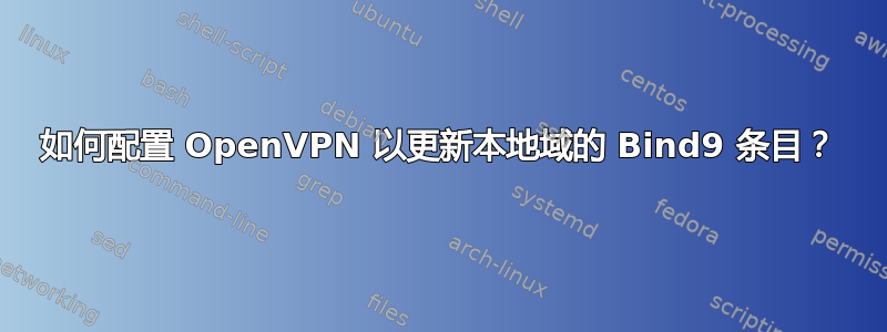 如何配置 OpenVPN 以更新本地域的 Bind9 条目？