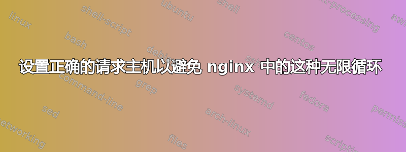 设置正确的请求主机以避免 nginx 中的这种无限循环