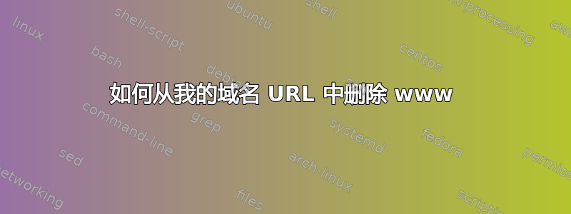 如何从我的域名 URL 中删除 www