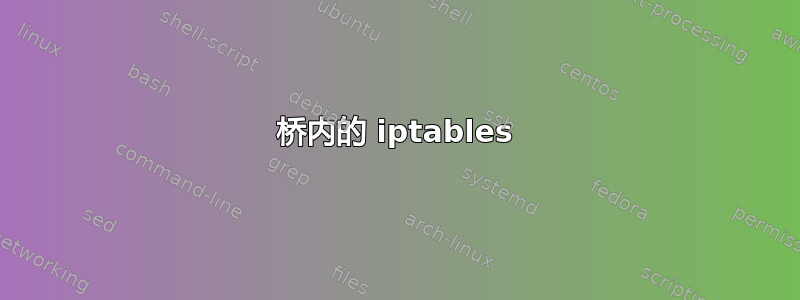 桥内的 iptables