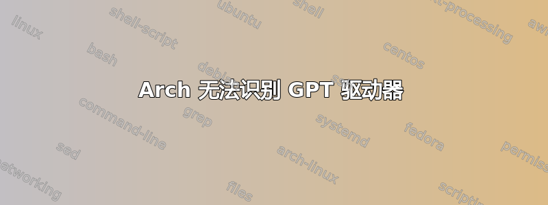 Arch 无法识别 GPT 驱动器