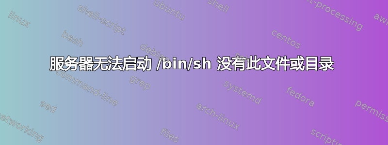 服务器无法启动 /bin/sh 没有此文件或目录