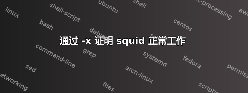 通过 -x 证明 squid 正常工作