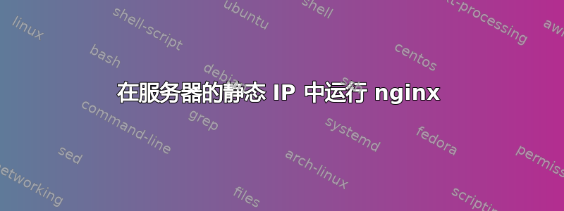 在服务器的静态 IP 中运行 nginx