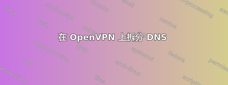 在 OpenVPN 上拆分 DNS