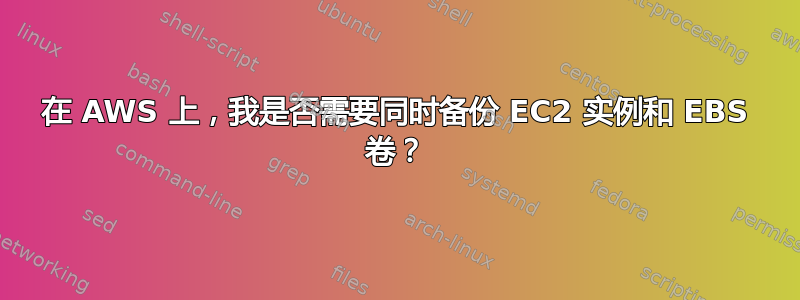 在 AWS 上，我是否需要同时备份 EC2 实例和 EBS 卷？