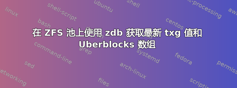 在 ZFS 池上使用 zdb 获取最新 txg 值和 Uberblocks 数组