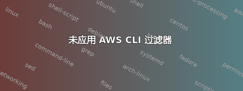 未应用 AWS CLI 过滤器