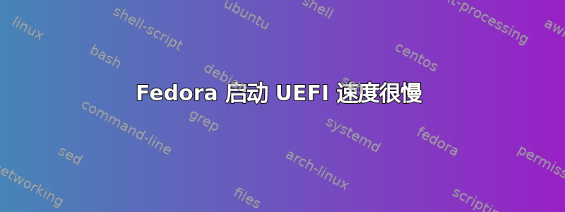 Fedora 启动 UEFI 速度很慢