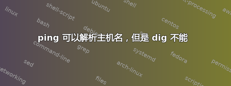 ping 可以解析主机名，但是 dig 不能 