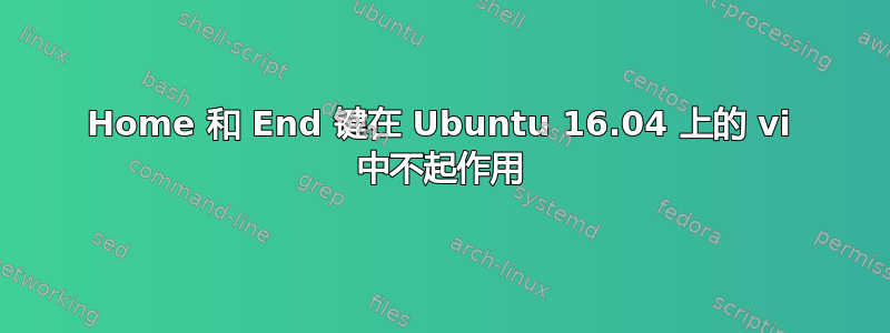 Home 和 End 键在 Ubuntu 16.04 上的 vi 中不起作用