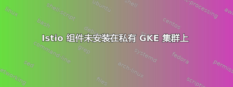 Istio 组件未安装在私有 GKE 集群上