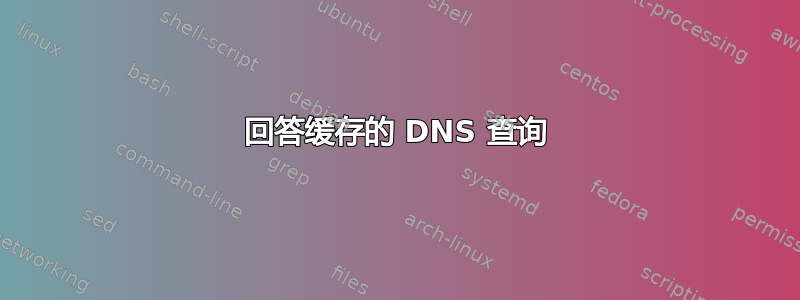 回答缓存的 DNS 查询