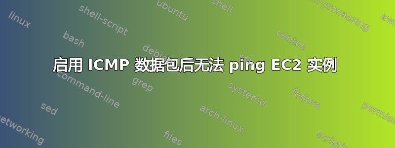 启用 ICMP 数据包后无法 ping EC2 实例