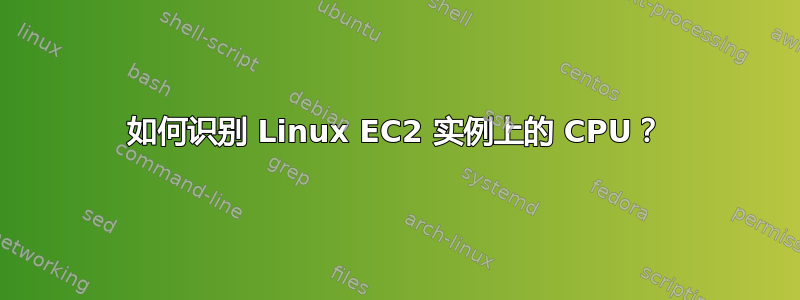 如何识别 Linux EC2 实例上的 CPU？