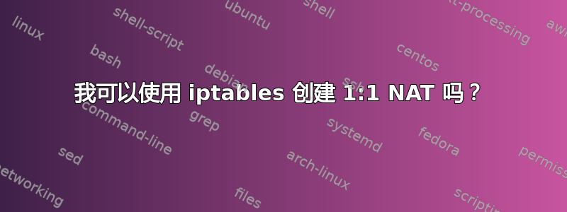 我可以使用 iptables 创建 1:1 NAT 吗？