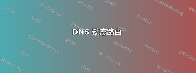 DNS 动态路由
