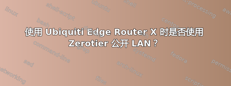 使用 Ubiquiti Edge Router X 时是否使用 Zerotier 公开 LAN？