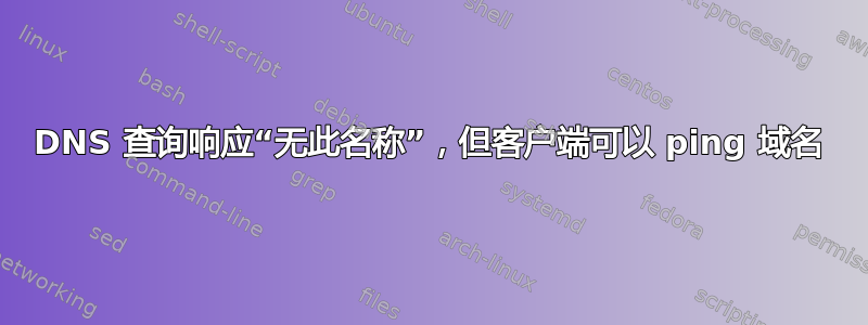 DNS 查询响应“无此名称”，但客户端可以 ping 域名