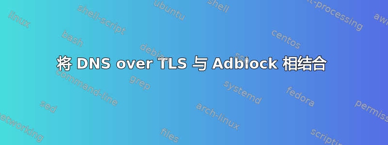 将 DNS over TLS 与 Adblock 相结合