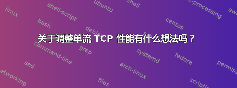 关于调整单流 TCP 性能有什么想法吗？