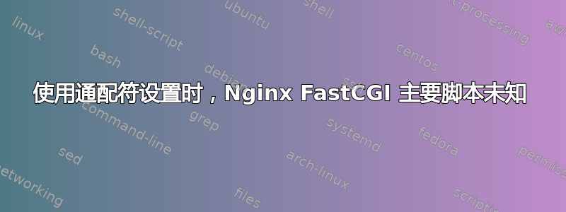 使用通配符设置时，Nginx FastCGI 主要脚本未知