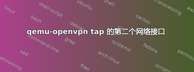 qemu-openvpn tap 的第二个网络接口