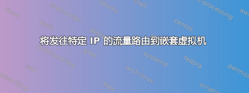 将发往特定 IP 的流量路由到嵌套虚拟机