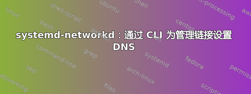 systemd-networkd：通过 CLI 为管理链接设置 DNS