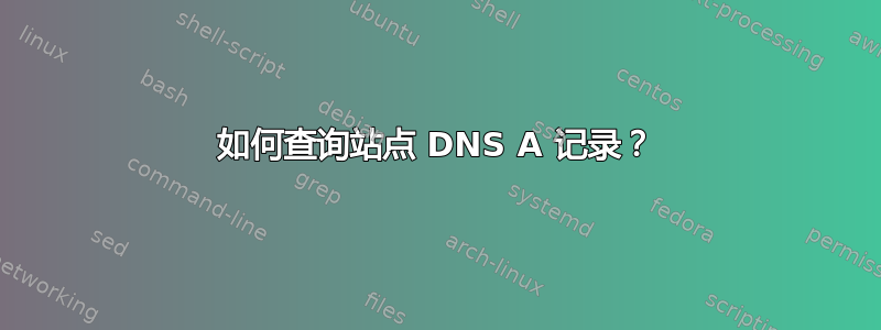 如何查询站点 DNS A 记录？