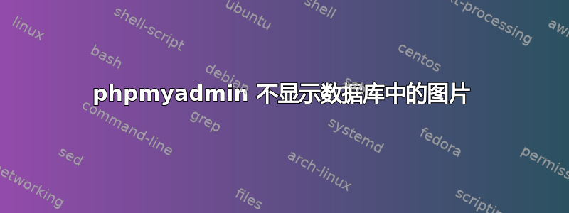 phpmyadmin 不显示数据库中的图片