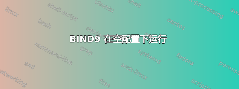 BIND9 在空配置下运行