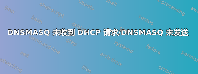 DNSMASQ 未收到 DHCP 请求/DNSMASQ 未发送