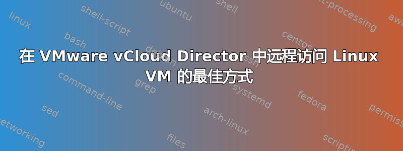 在 VMware vCloud Director 中远程访问 Linux VM 的最佳方式