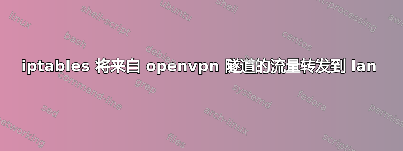 iptables 将来自 openvpn 隧道的流量转发到 lan