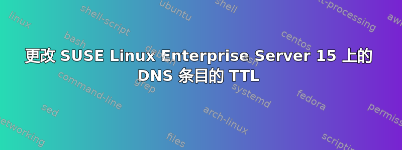 更改 SUSE Linux Enterprise Server 15 上的 DNS 条目的 TTL