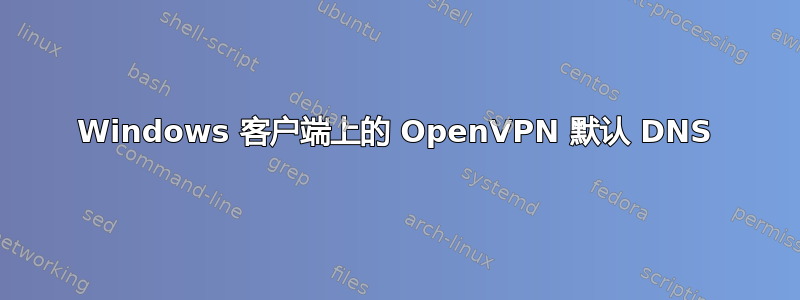 Windows 客户端上的 OpenVPN 默认 DNS