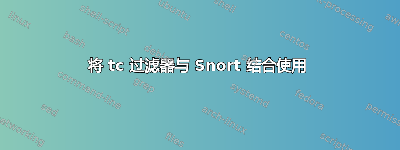 将 tc 过滤器与 Snort 结合使用