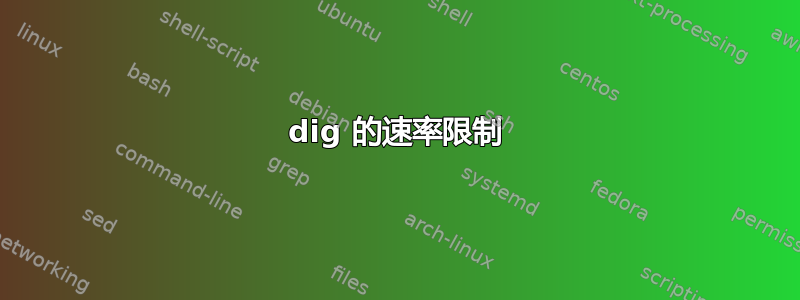 dig 的速率限制