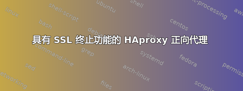 具有 SSL 终止功能的 HAproxy 正向代理