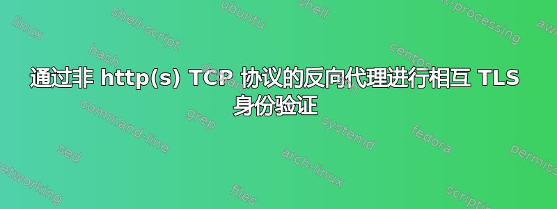 通过非 http(s) TCP 协议的反向代理进行相互 TLS 身份验证