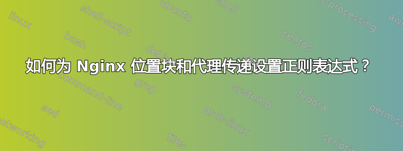 如何为 Nginx 位置块和代理传递设置正则表达式？